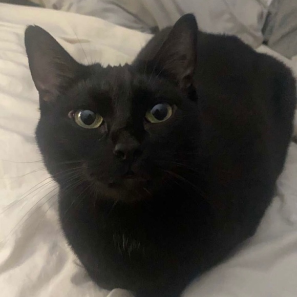 Meet your Posher, Kay - Picture 1 of 1